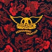 Dude (Looks Like A Lady) by Aerosmith