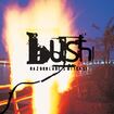 Swallowed by Bush