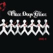 Never Too Late by Three Days Grace