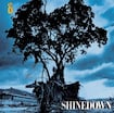Simple Man by Shinedown