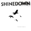 Second Chance by Shinedown