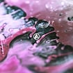 Heavy Is the Crown by Linkin Park